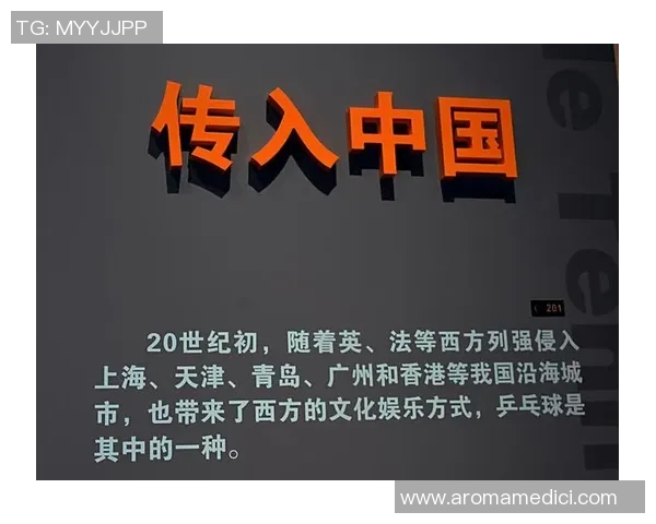 乒乓球战术解析：广州乒乓球队盯防策略的深度剖析与启示